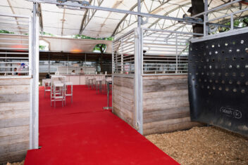 240604_SRS_Event_Sommerreitbahn_006