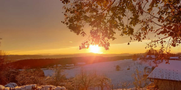 FotoWinter