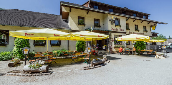 Hammerschmied-frontal