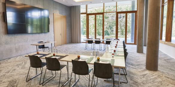 SHR_Krems_Conference_Goldberg_2