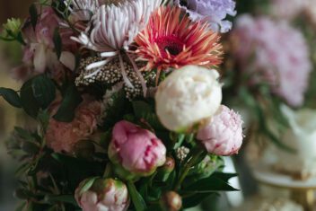 Femme Maison x Spanische Hofreitschule