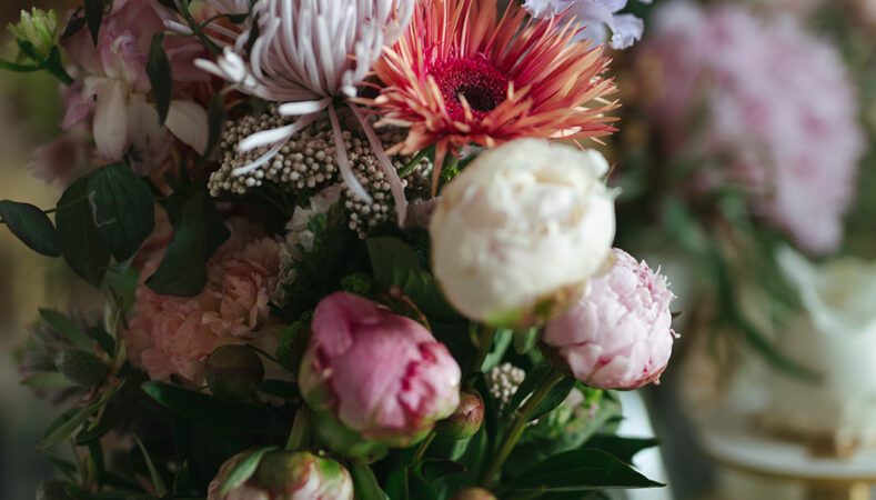 Femme Maison x Spanische Hofreitschule